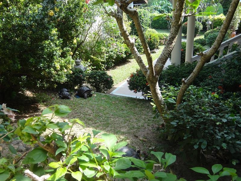 Phuket Holiday Village And Natural Garden Resort מראה חיצוני תמונה